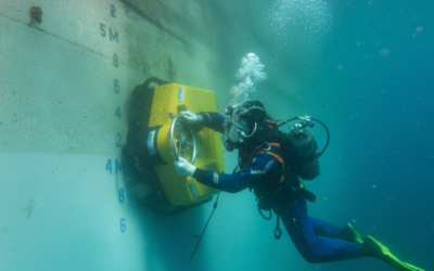 How Class-Approved Underwater Surveys Save Time and Money for Shipping Companies