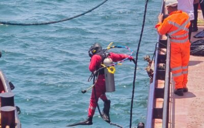 The Relationship Between Hull Coatings and Underwater Hull Cleaning on Commercial Ships