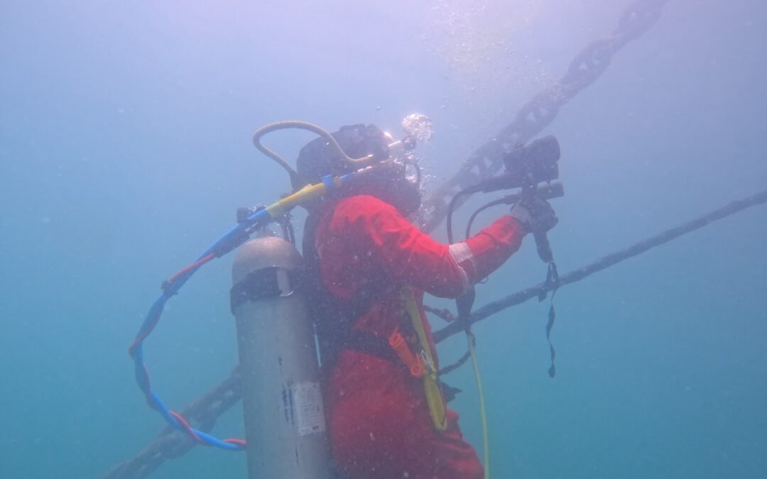 How Underwater Inspections Help Commercial Ships Prepare for Port State Control (PSC) Inspections